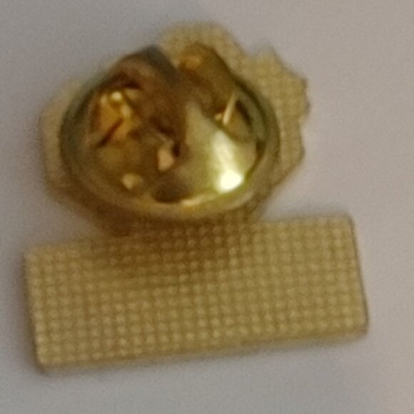 Woodstock Ontario Canada PIN PinBACK Metal Pin Ontario Places - Picture 2 of 3